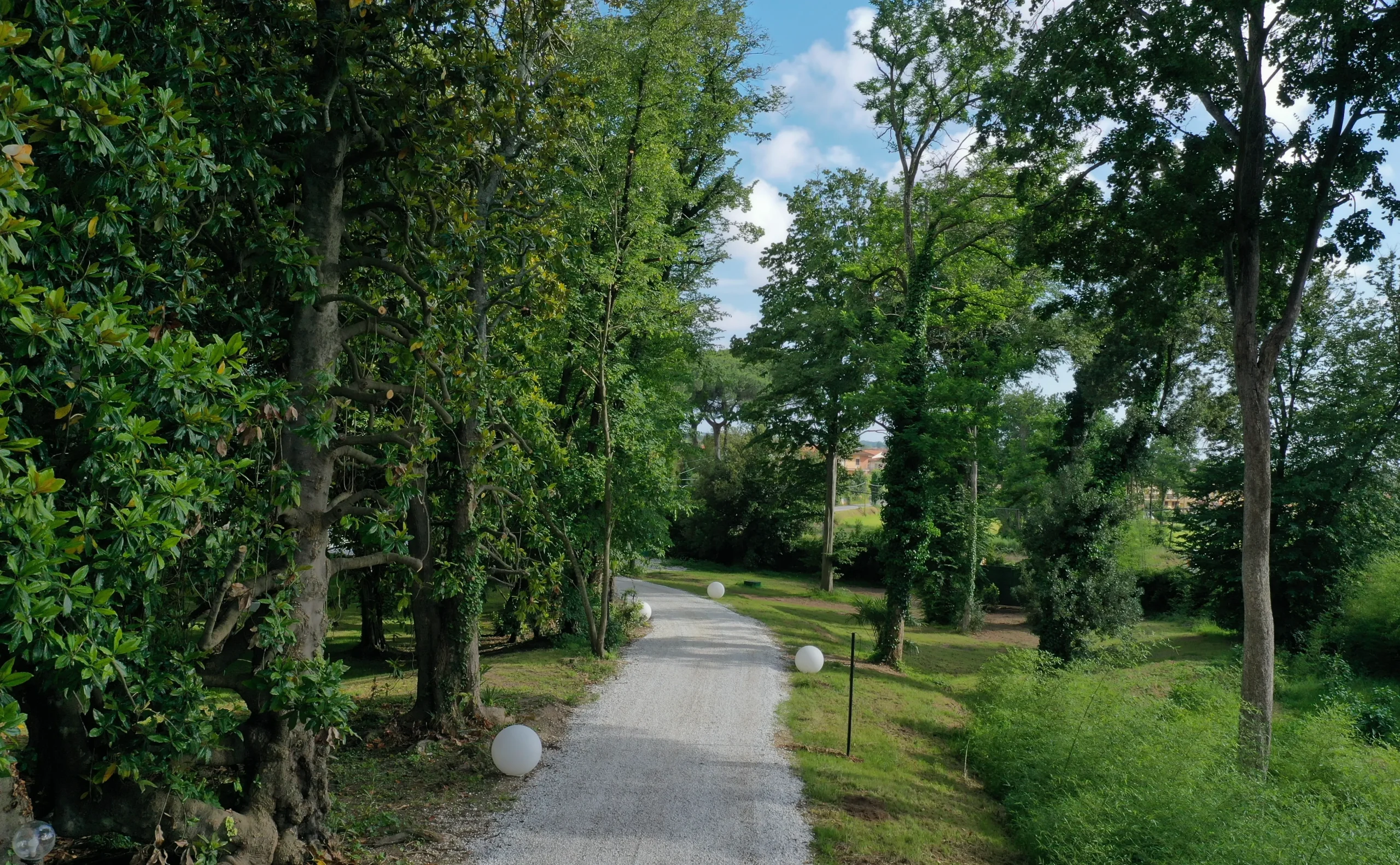 Botanical garden on the campus grounds