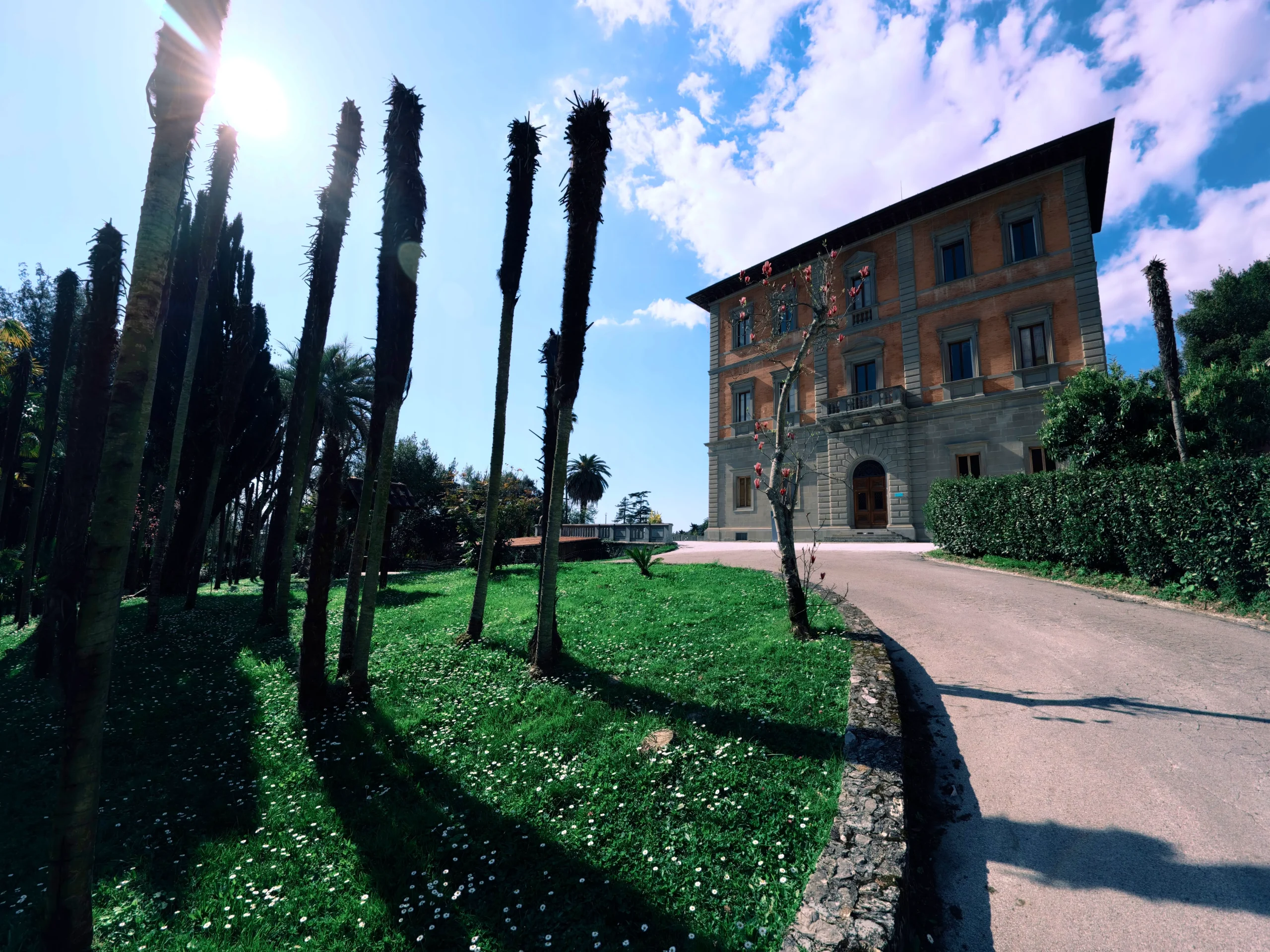 Campus grounds in spring