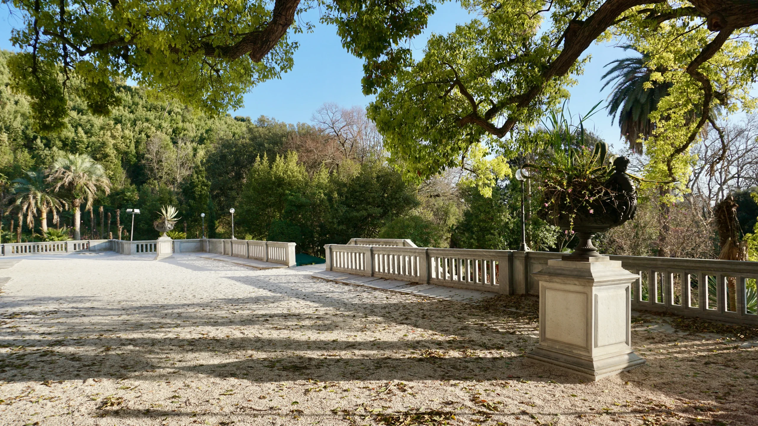Terrace at the EIS Versilia campus